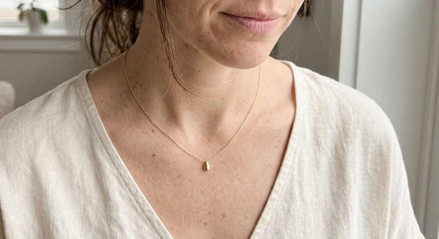 Maison Anichat concept