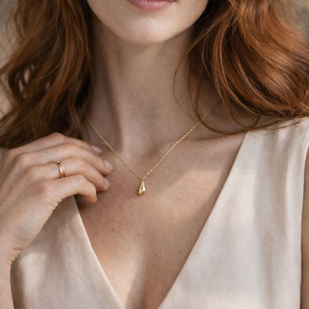 Maison Anichat concept